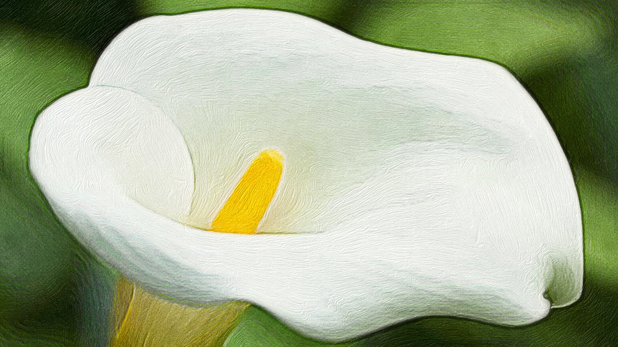 12803233-F82B-4048-B154-E622F10117A3-6737-0000092EA7F8B016