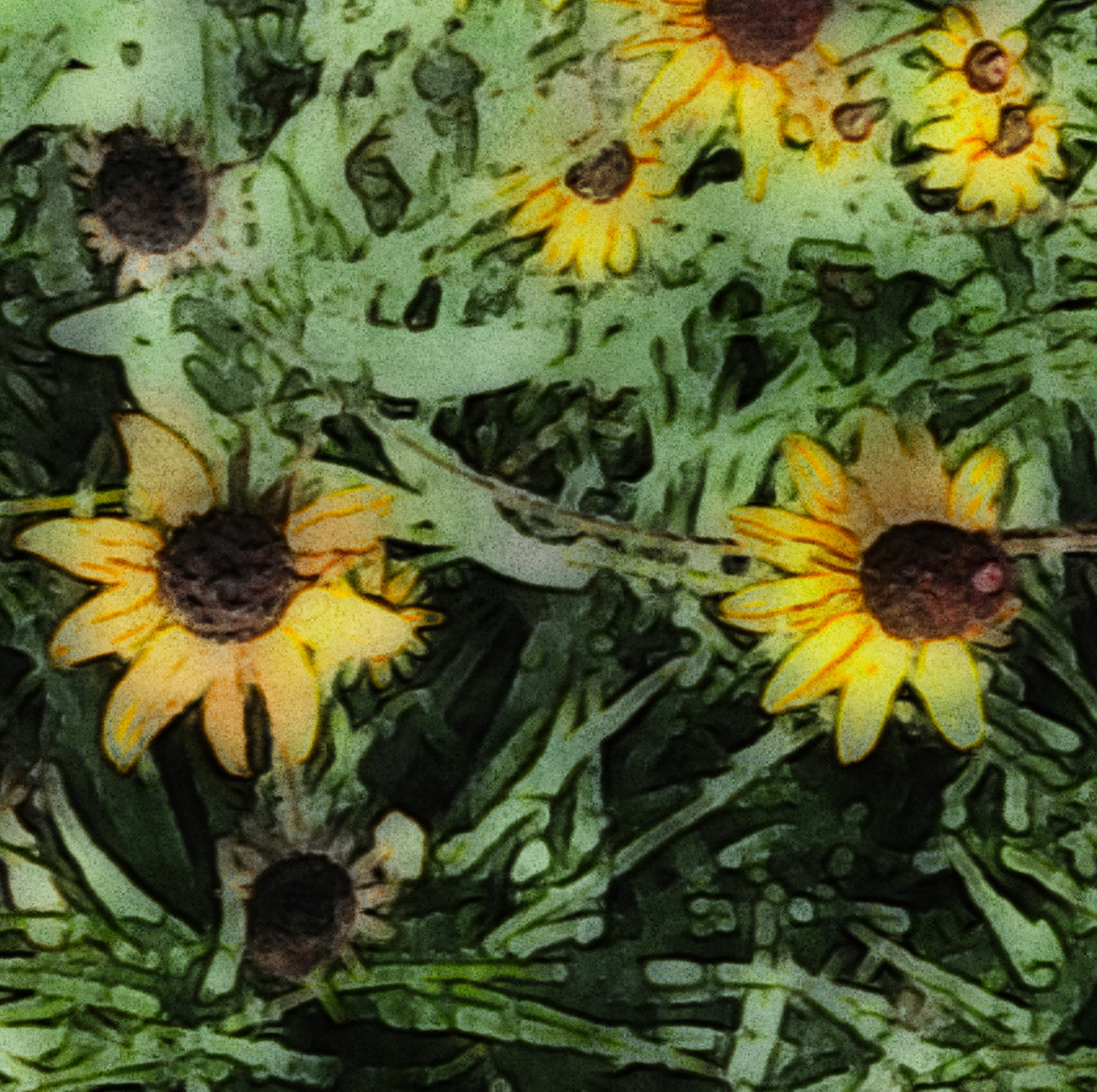 D3B001EE-872F-466D-8874-A6135C374310-6000-000008621D91230B