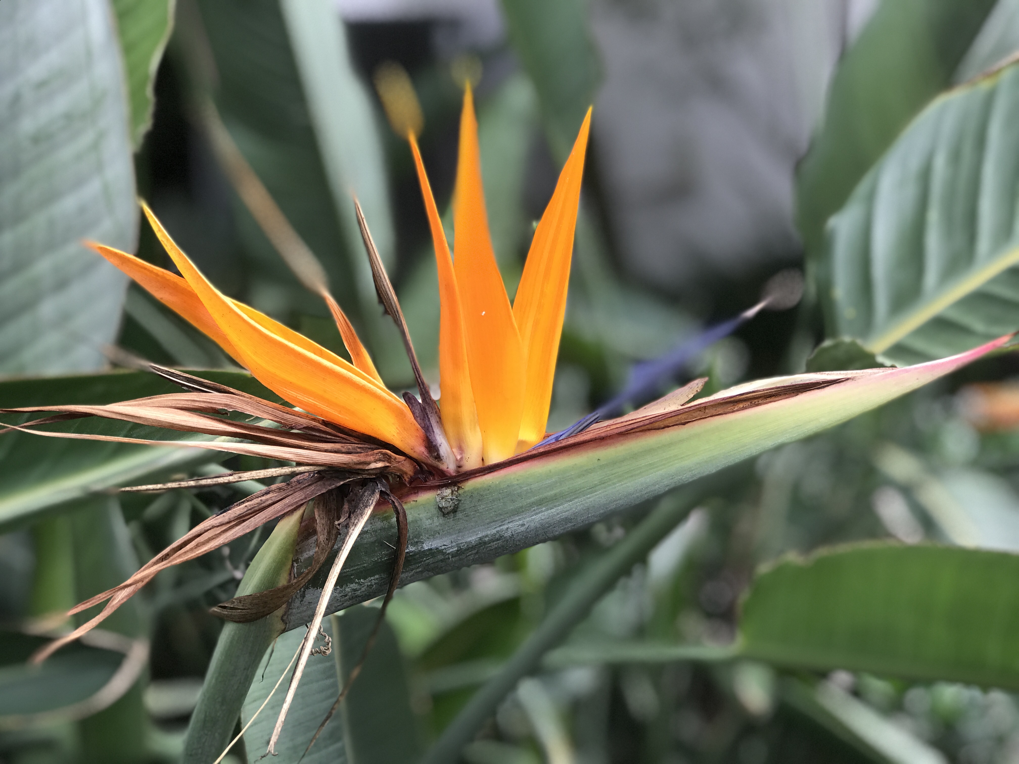 9A78B941-D47E-4390-BBB7-352A81804FA3