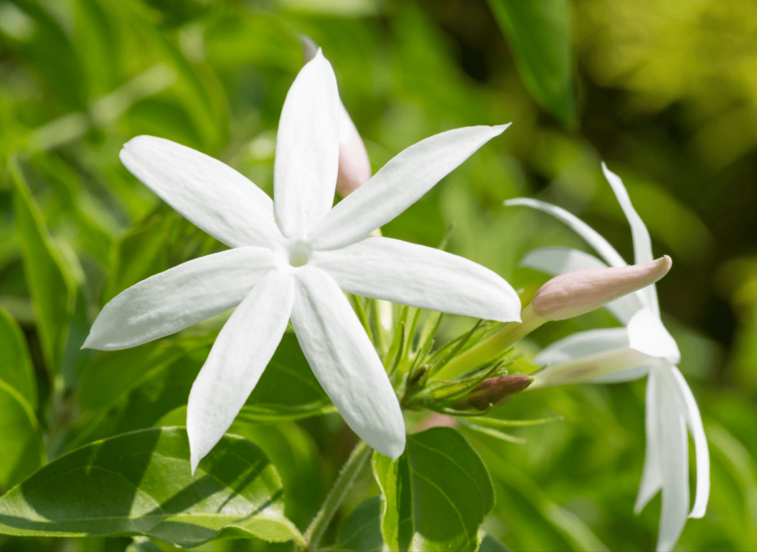 C16FD4FD-630C-4373-947B-C502FD822E5C