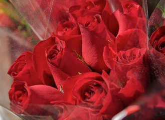 E41BAD45-F17D-49BD-AAD6-C683B8AEDF41