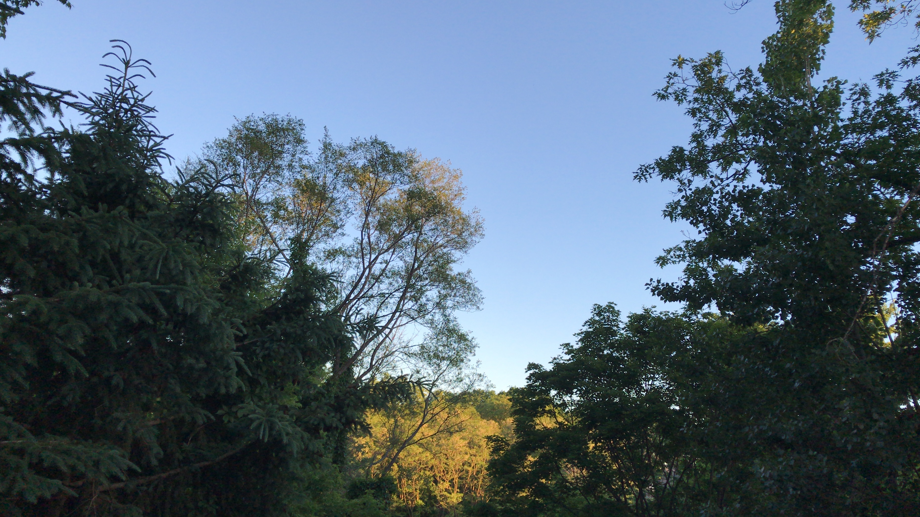 04378022-C4A2-4BA3-9568-D8C2A17928C0