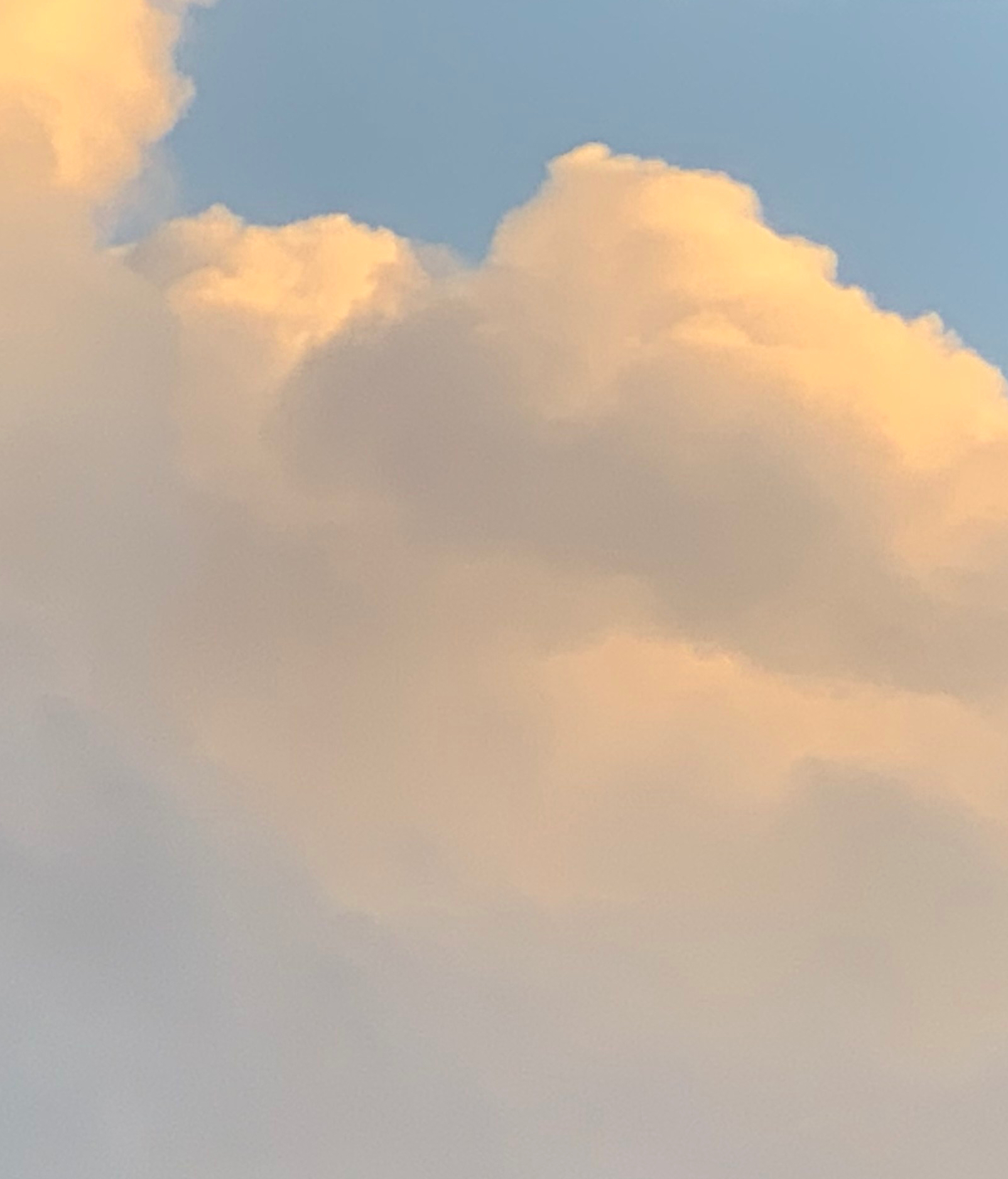 622167D3-1C6F-44F3-BDD4-46517E1EDE56