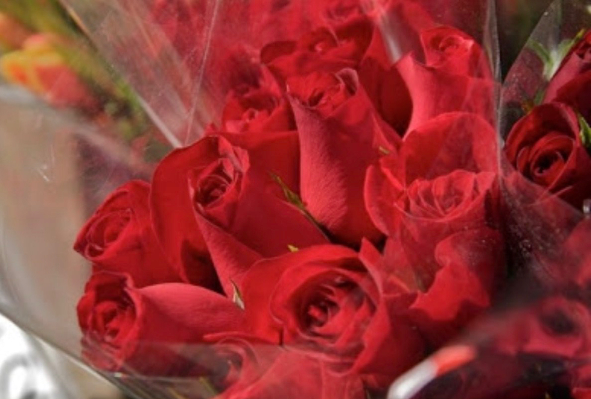 90A1693E-C6C7-40D3-9FC5-8D2E479D4D75