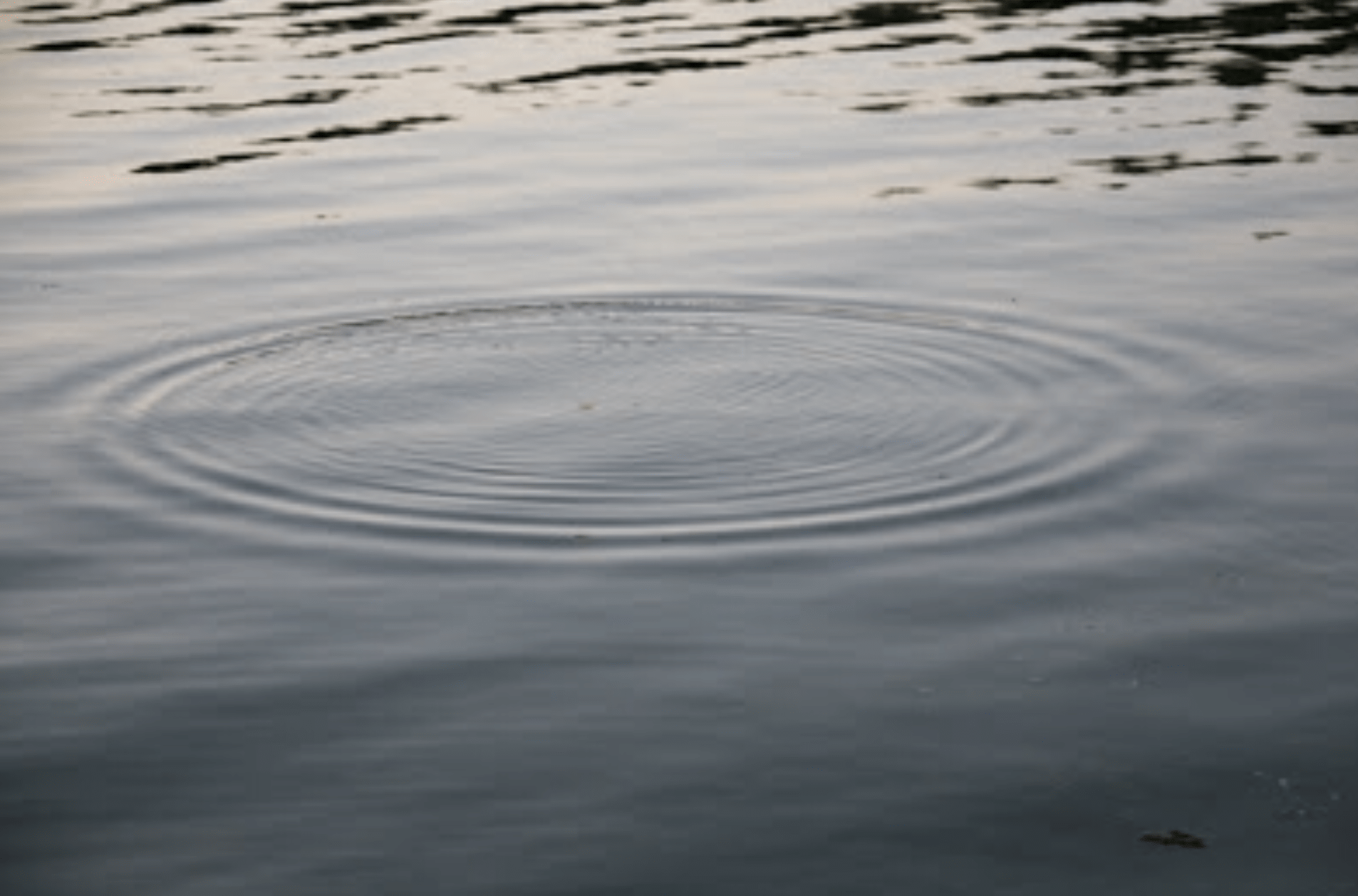 0D890155-39D0-4943-8C43-59557CE7ECE9