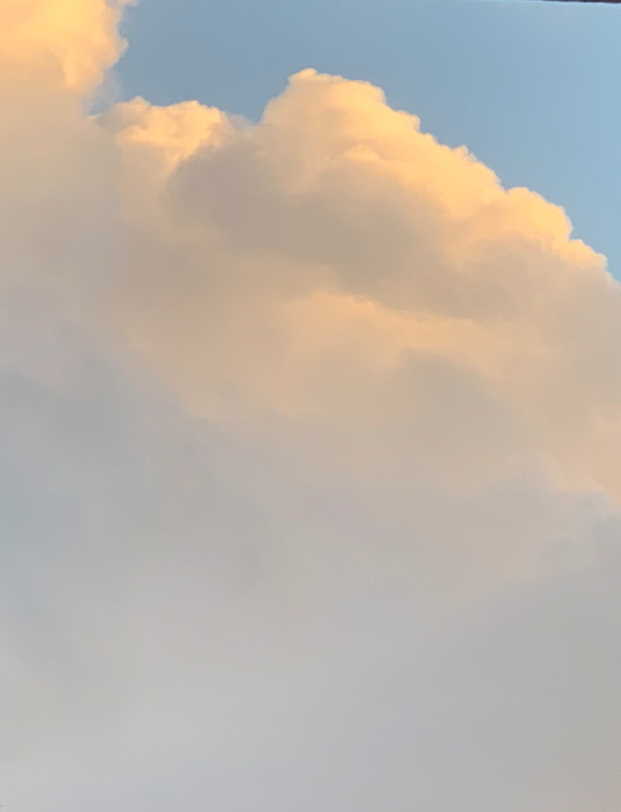 FC5FA50C-5E84-49AB-98B6-919A4B3080BA